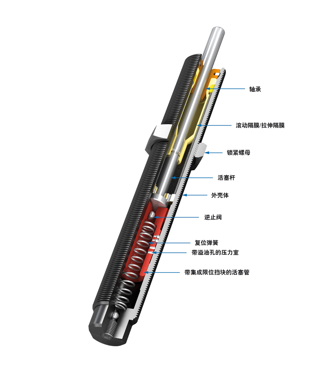SC25M-6
